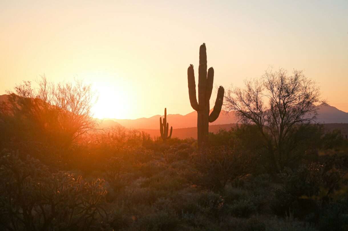 Arizona-Phoenix