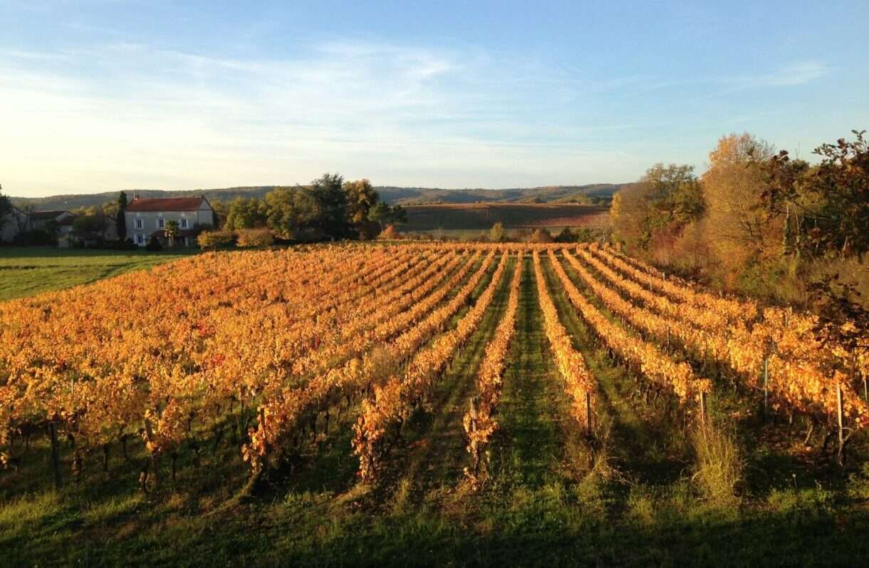 Weingut_Cahors