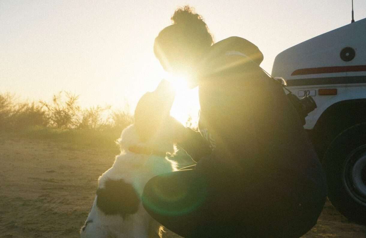 Reisen_mit_Hund