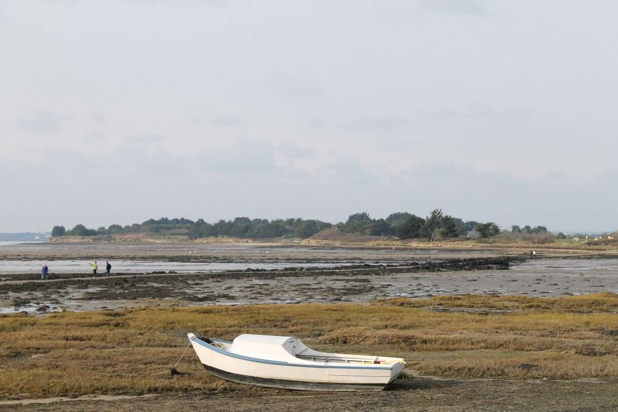 Tascon – Eine Insel wie keine andere: Ein verstecktes Juwel im Golf von Morbihan
