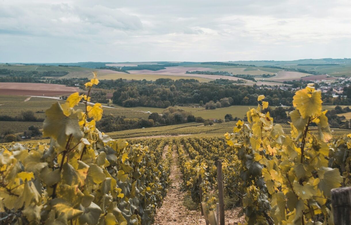 Chablis