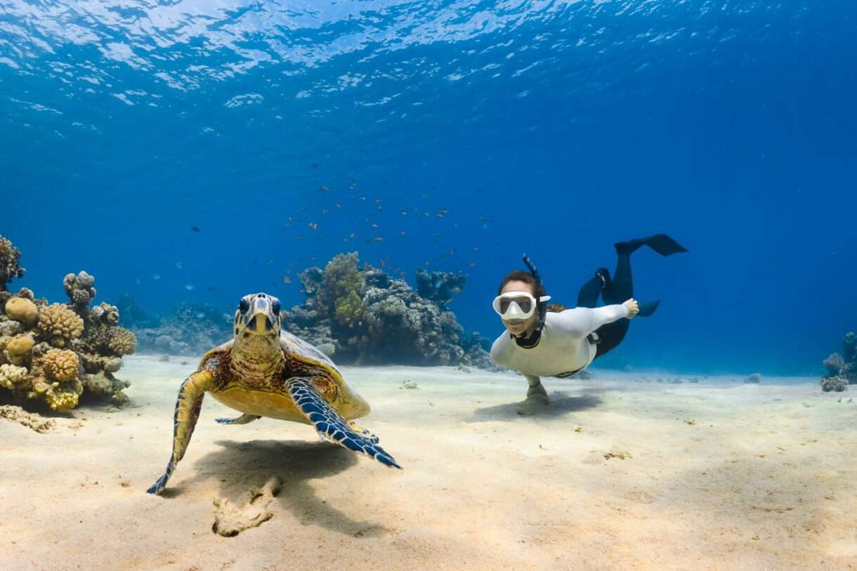 Biodiversitaet