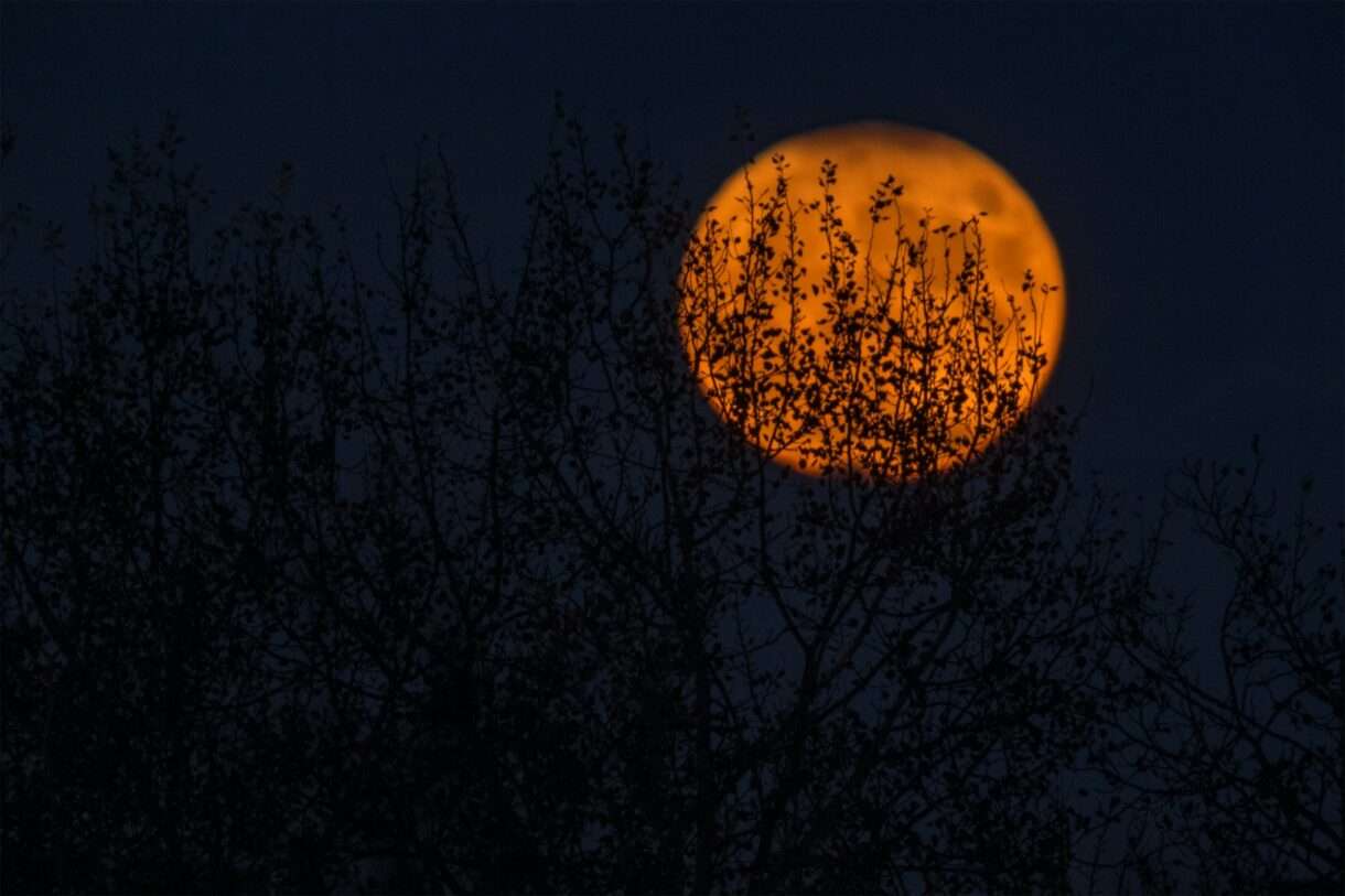 Halloween, Reformationstag und Samhain – Ein Festtag, drei Geschichten