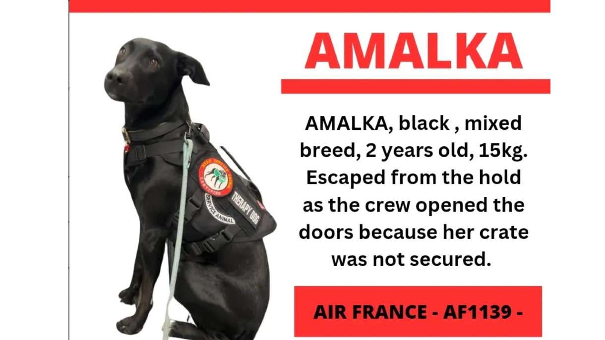 Amalka