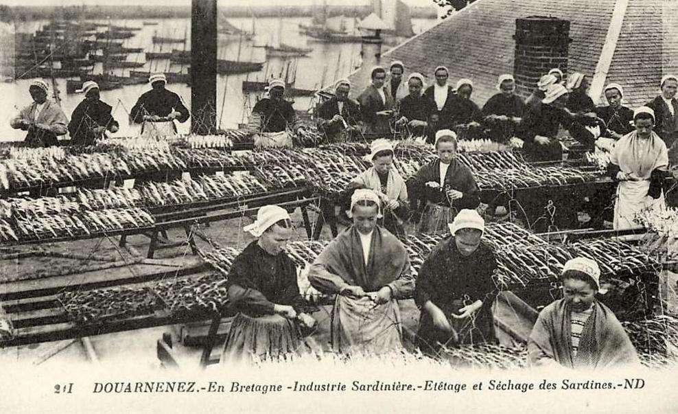 Marseille und die verschwundene Sardine – wie Klima und Märkte den Kultfisch bedrohen