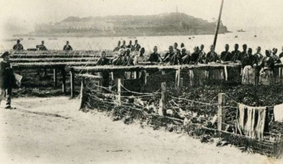 Sardinières_au_travail