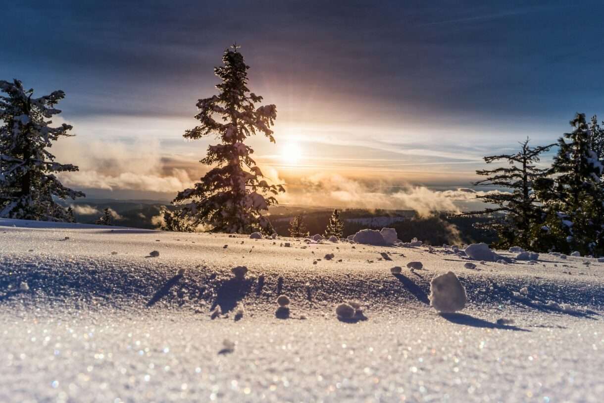 Schneelandschaft