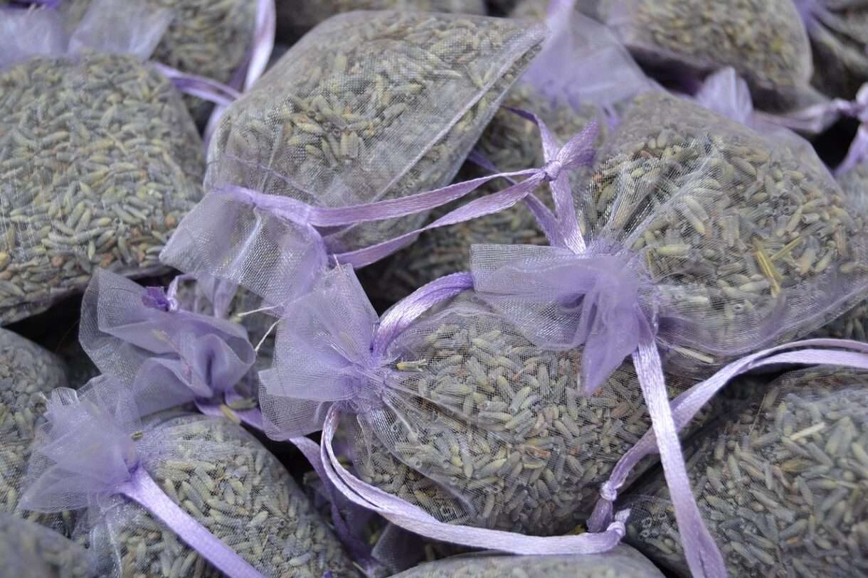 Lavendel