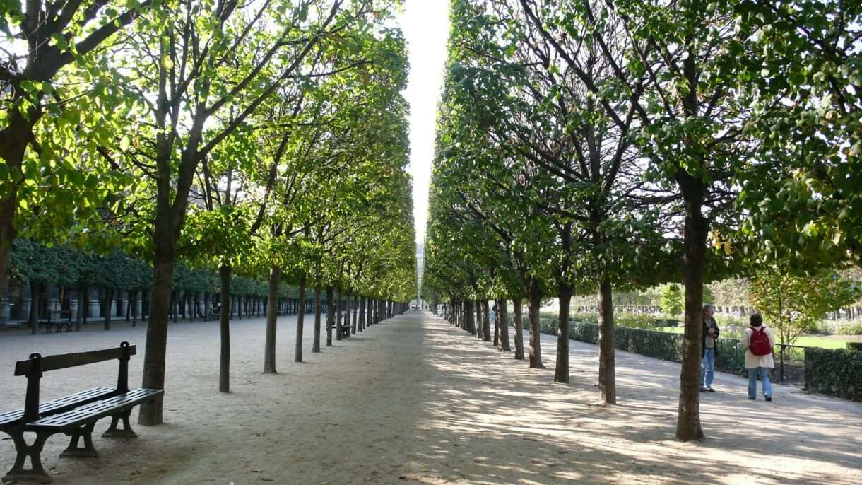 Paris_Gruen