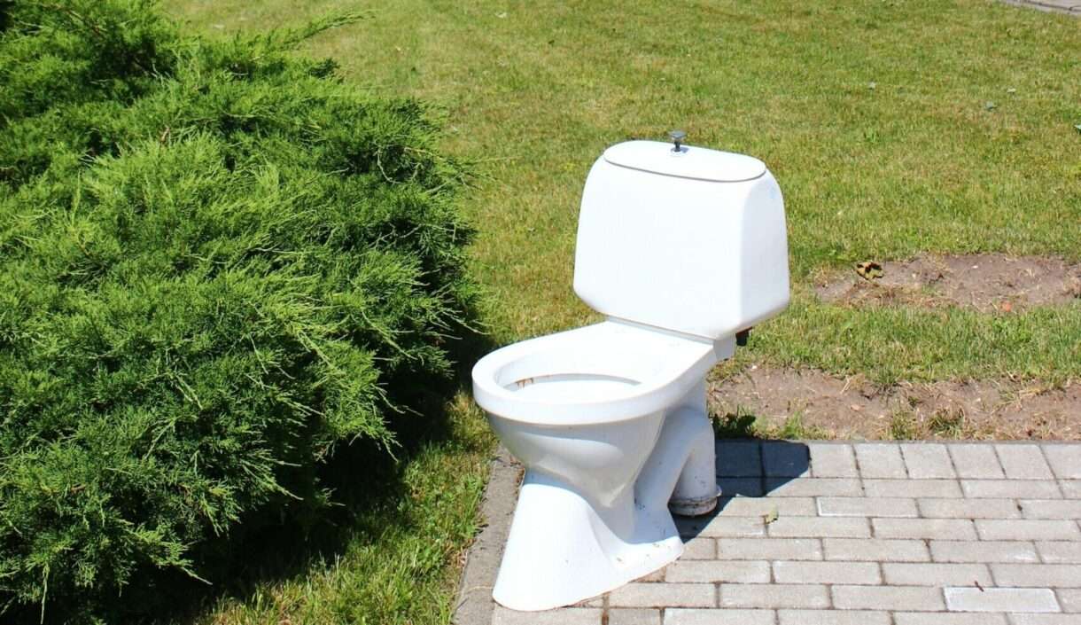 Welttoilettentag