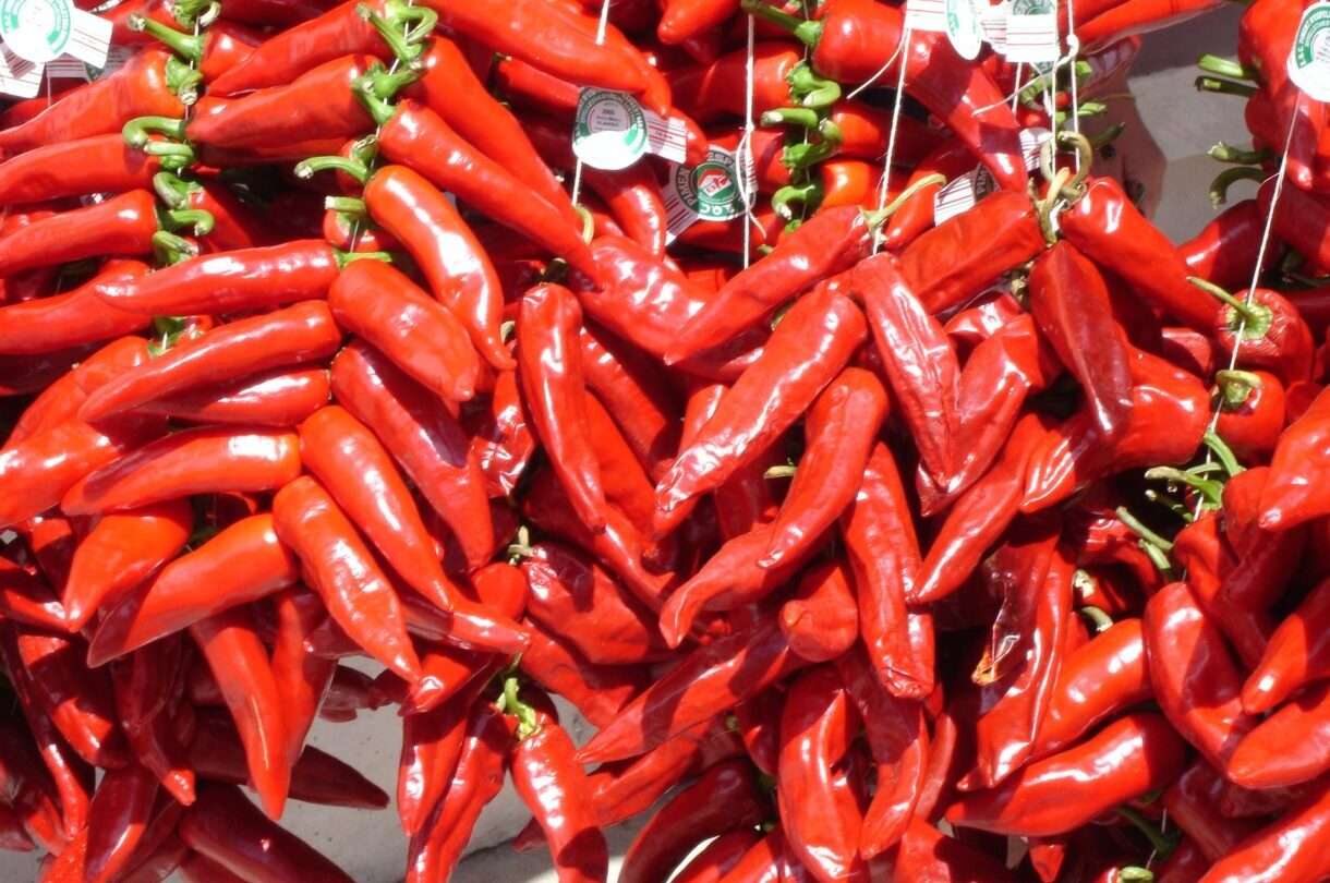 Piment_d-Espelette