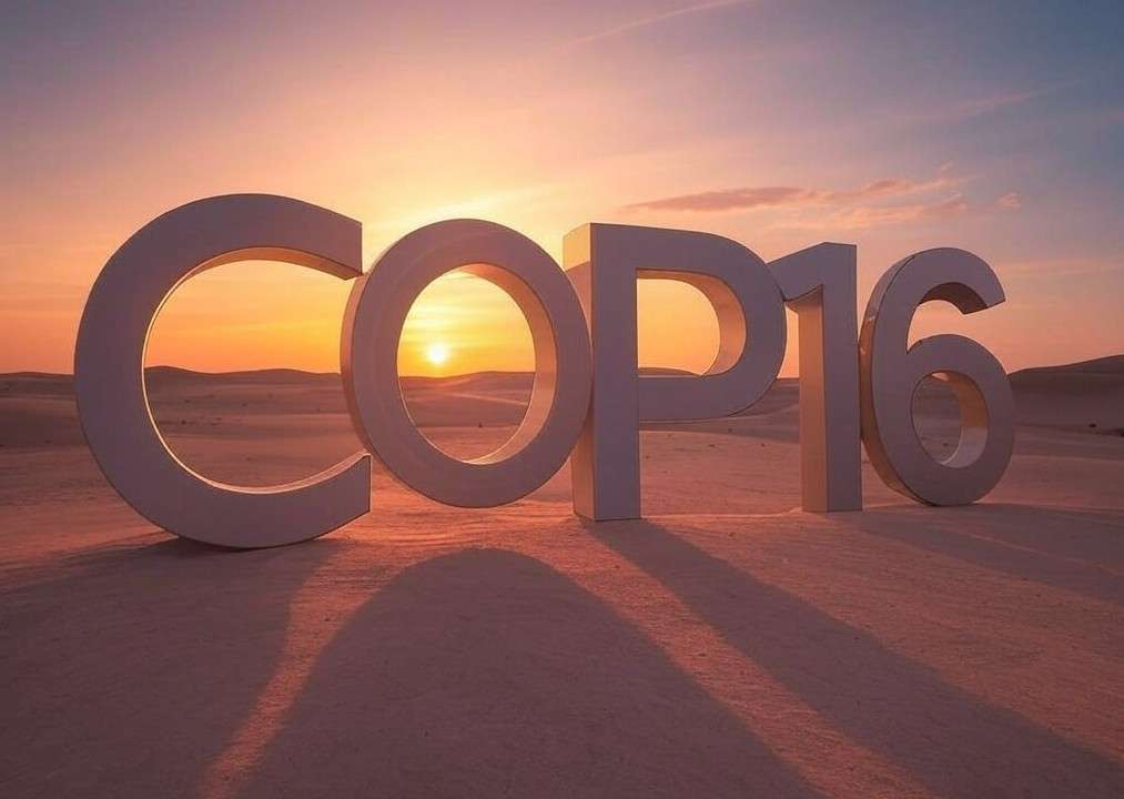 Cop16_Illustration