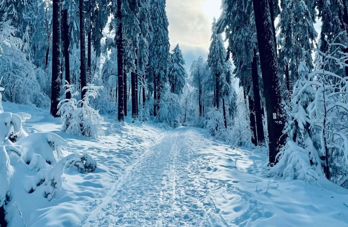 Schneemassen in den Pyrenäen: Verkehrschaos in der Region des Luchon-Tals