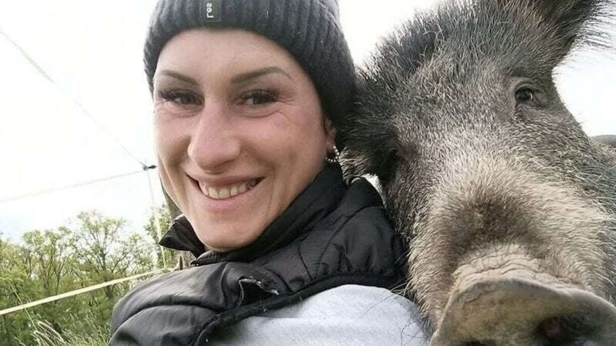 Wildschwein_Rillette