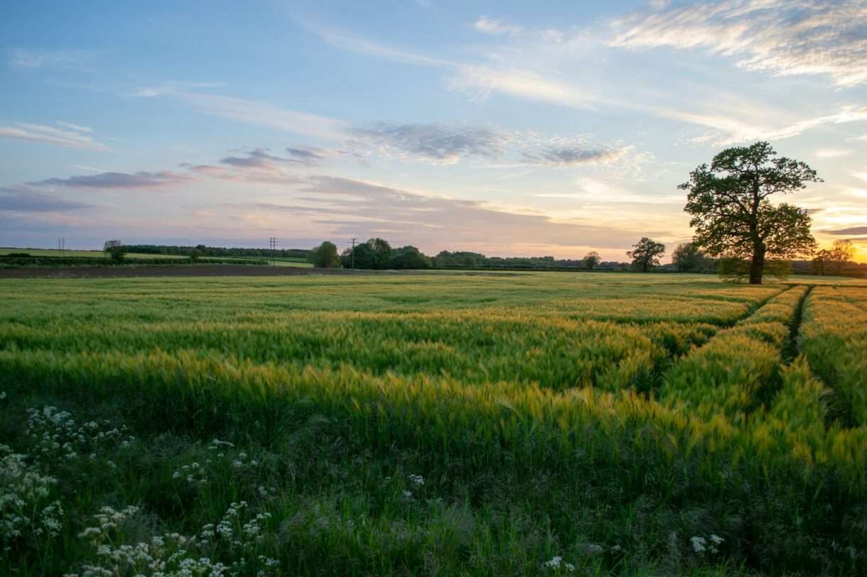 Frankreichs Landwirtschaft zwischen Export und Selbstversorgung: Ein ungenutztes Potenzial?
