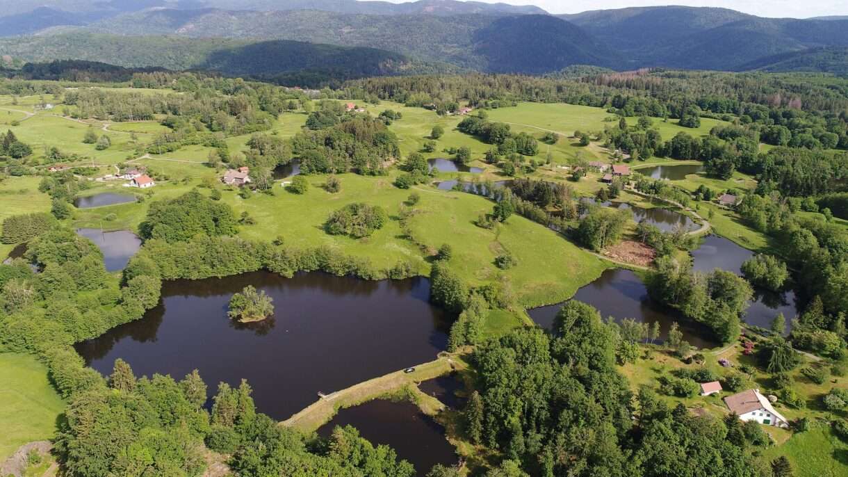 Das „Kleine Finnland“ in Frankreich: Ein verborgenes Paradies in der Haute-Saône