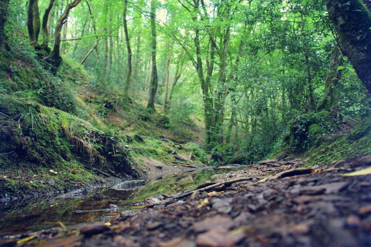 Broceliande