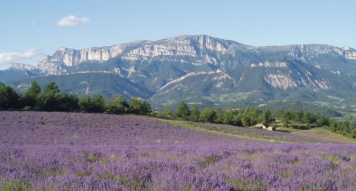 Frühling in der Drôme – Frankreichs verstecktes Paradies entdecken