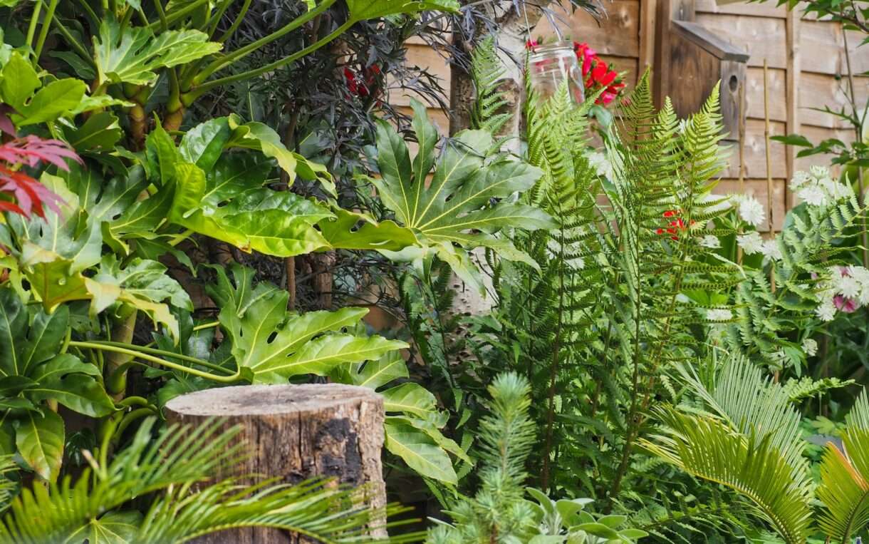 Garten_Biodiversität