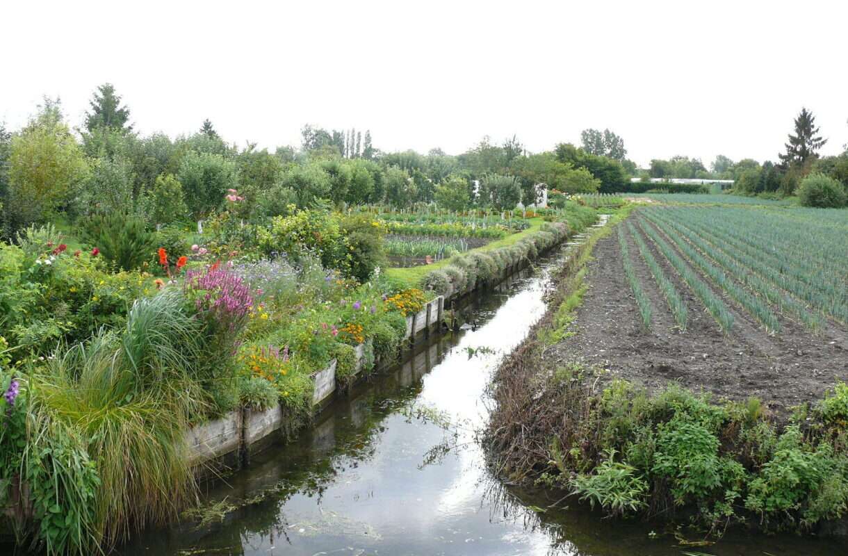 Hortillonnages_d'Amiens