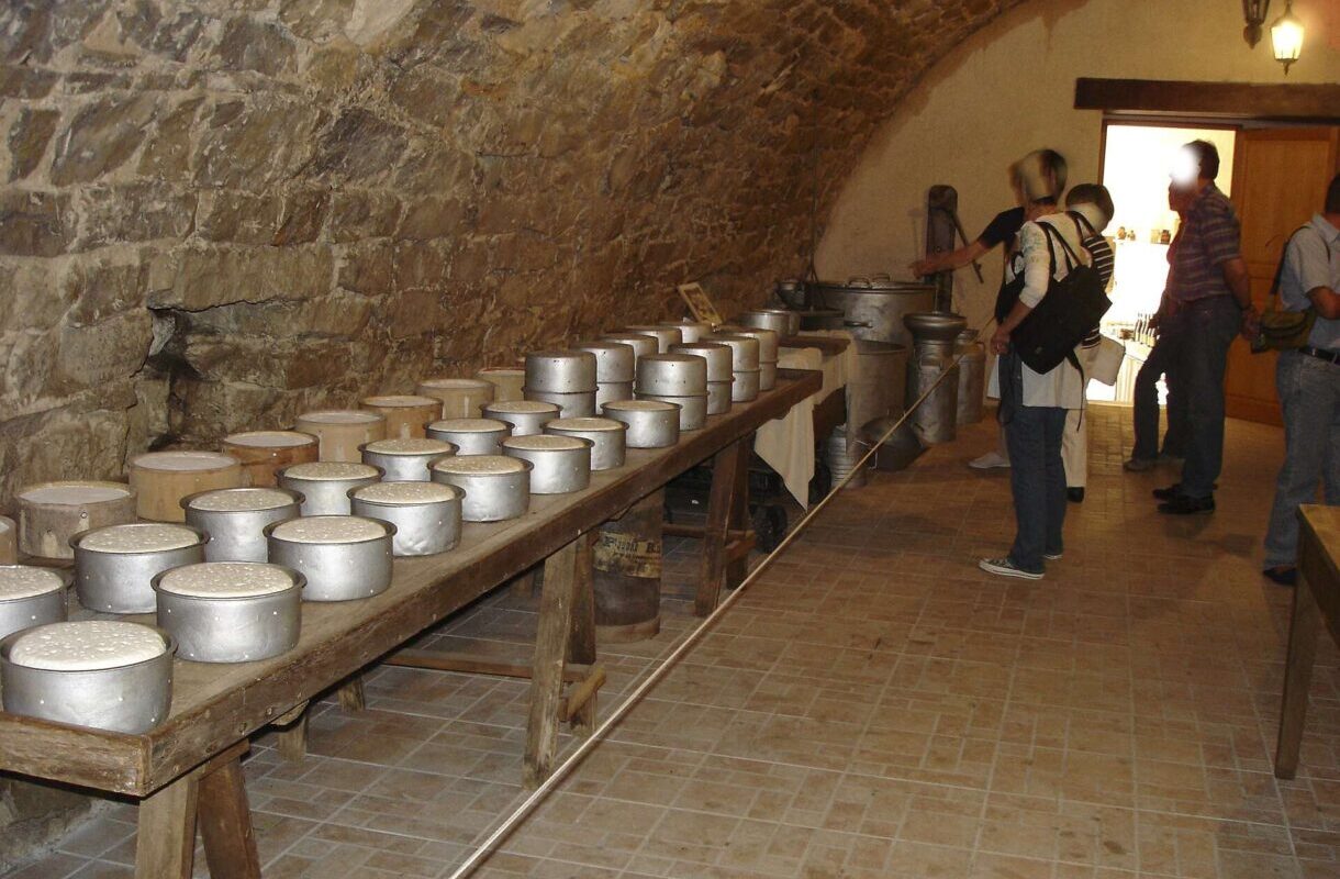100 Jahre Roquefort: Wie ein Blauschimmelkäse zum französischen Kulturerbe wurde