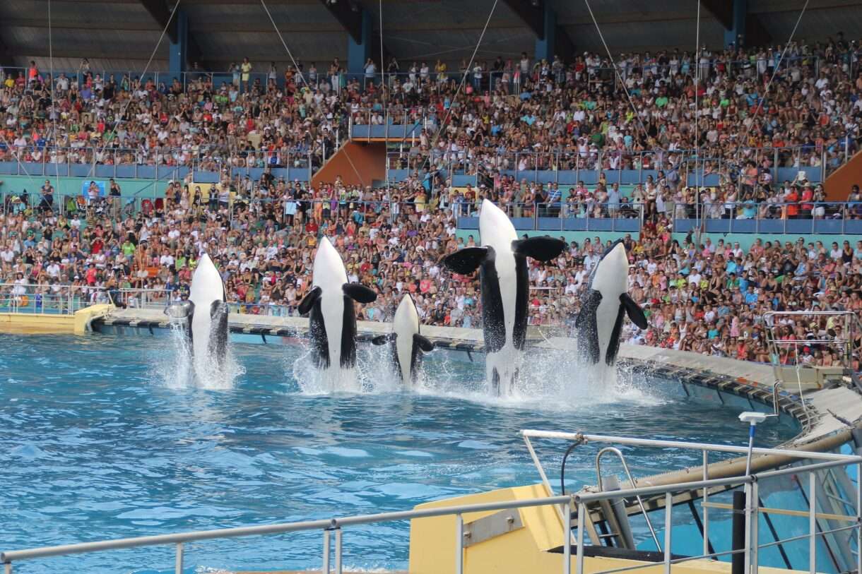 Marineland_Antibes