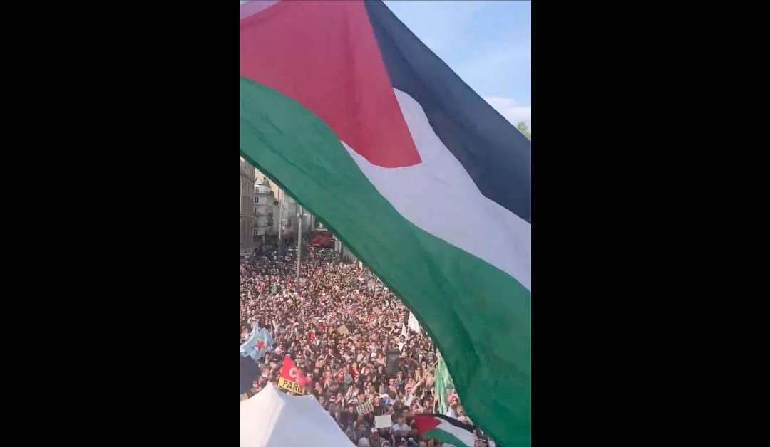 Demonstrationen_Gaza_Paris_ScreenX