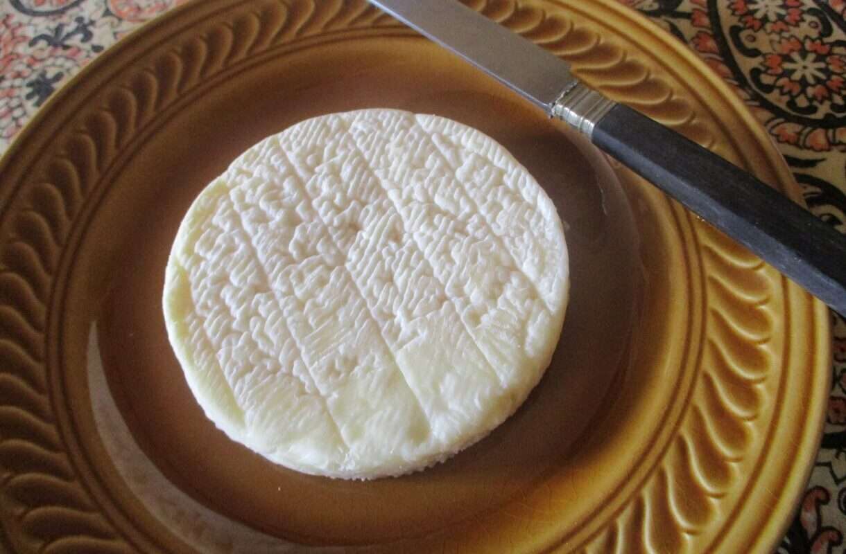Kleiner Käse, große Geschichte – Wie der Pérail dem Larzac neues Leben einhaucht