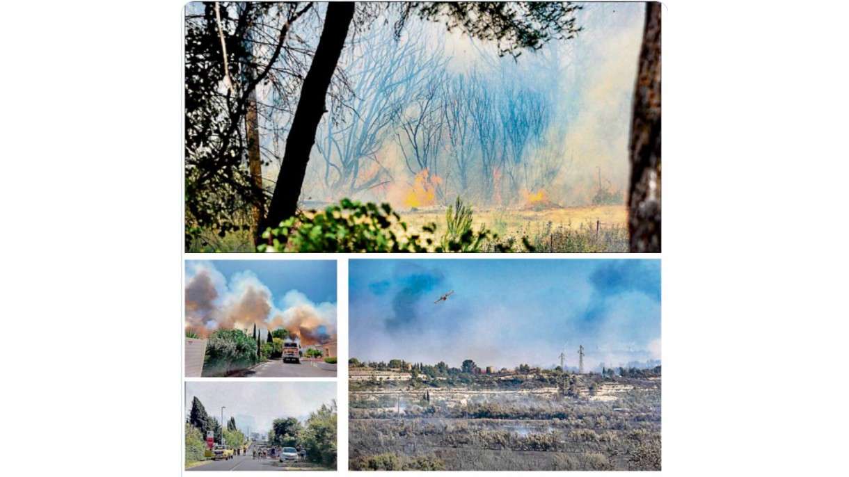 Flammen, Wind und Hoffnung – Der Waldbrand von Sigean