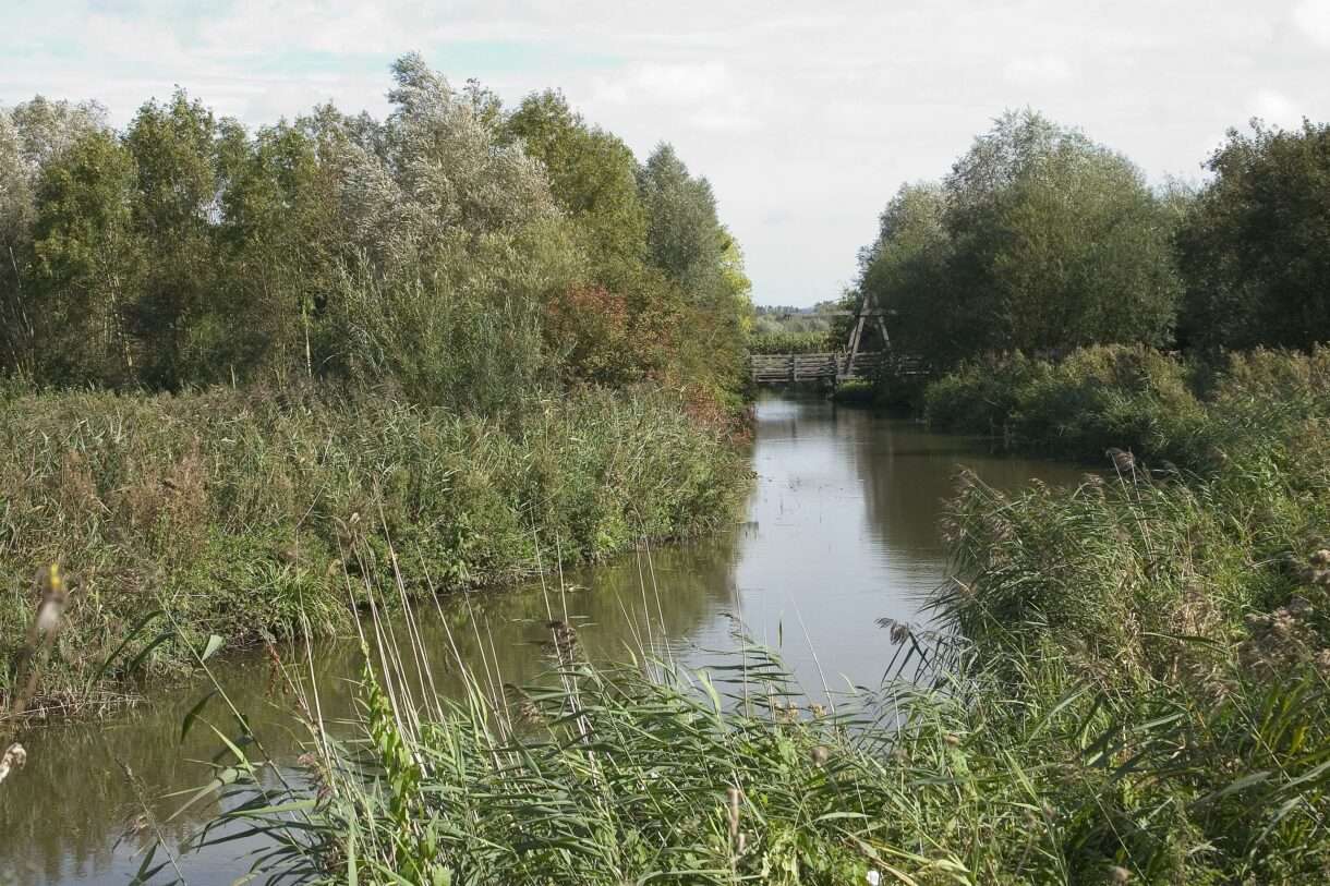 Zwischen Himmel, Wasser und Gemüse: Entdeckungsreise durch den Marais Audomarois
