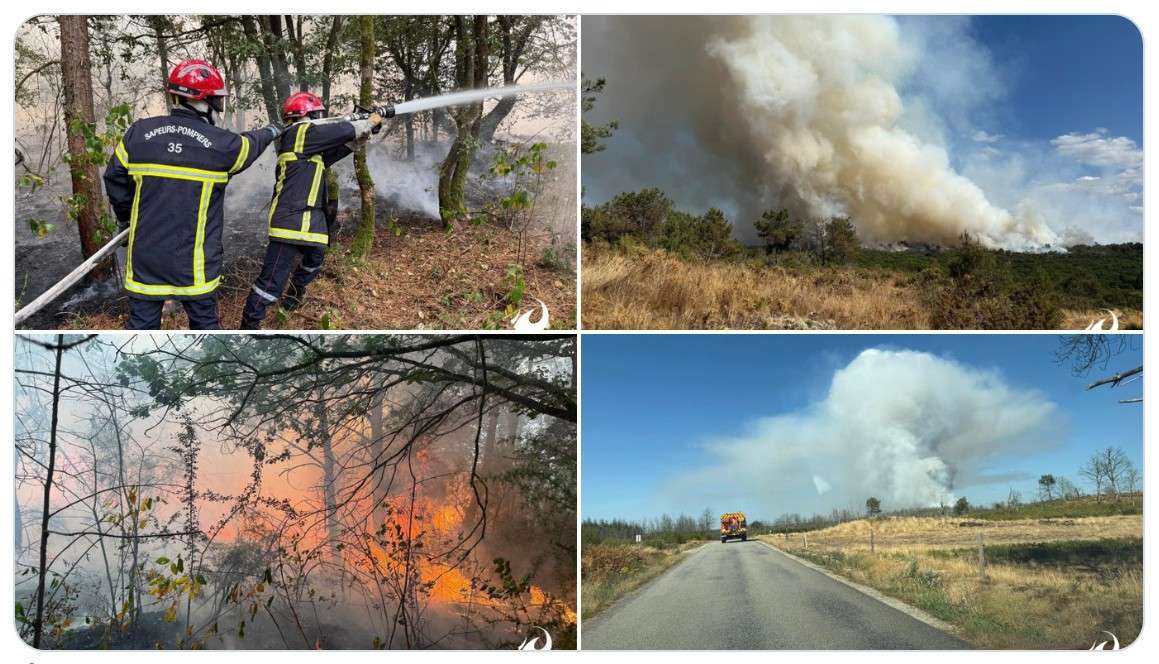 Wenn Legenden in Flammen stehen – Waldbrand im Wald von Brocéliande