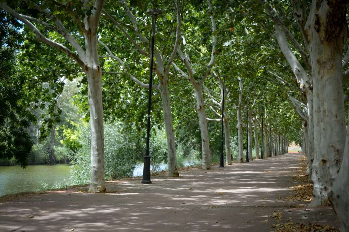 Paris_Parks