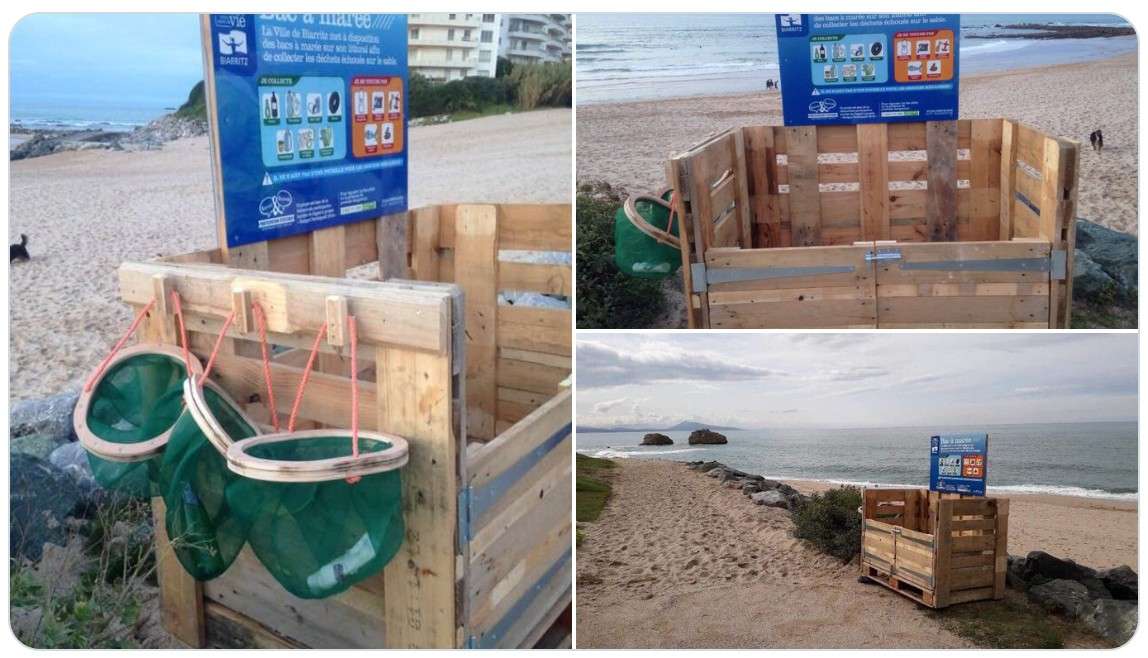 Bacs à marée: Wenn Strandspaziergänge zu Rettungsaktionen für die Ozeane werden