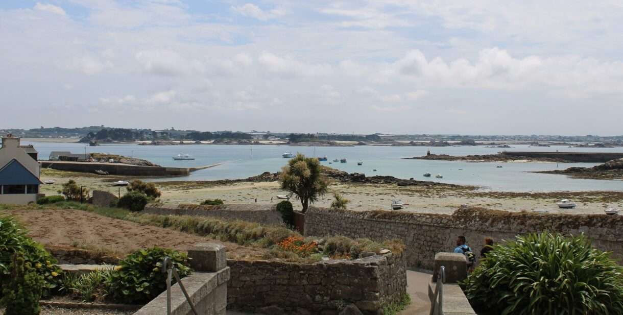 Grünes Comeback im Atlantik – Die Wiedergeburt des Jardin Georges Delaselle
