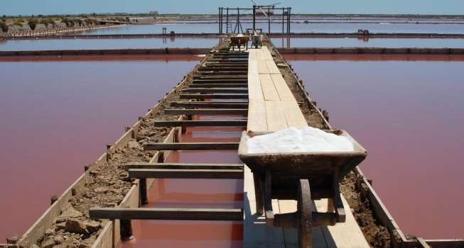 Pinkes Gold und wilde Flamingos – Salins de Gruissan als Erlebnis für alle Sinne