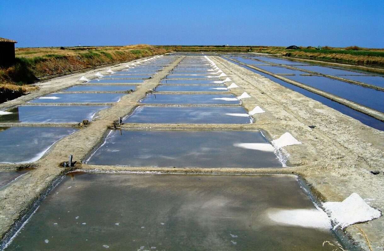Fleur de Sel von der Île de Ré – das weiße Gold der Atlantikküste