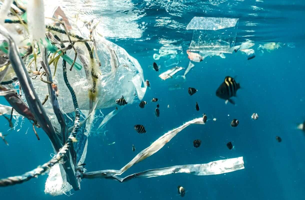 Mittelmeer in Not: Mikroplastik-Krise vor Korsika