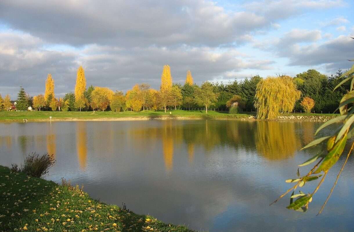 Wenn Verse Wurzeln schlagen – Poesie auf dem Ackerland der Sarthe