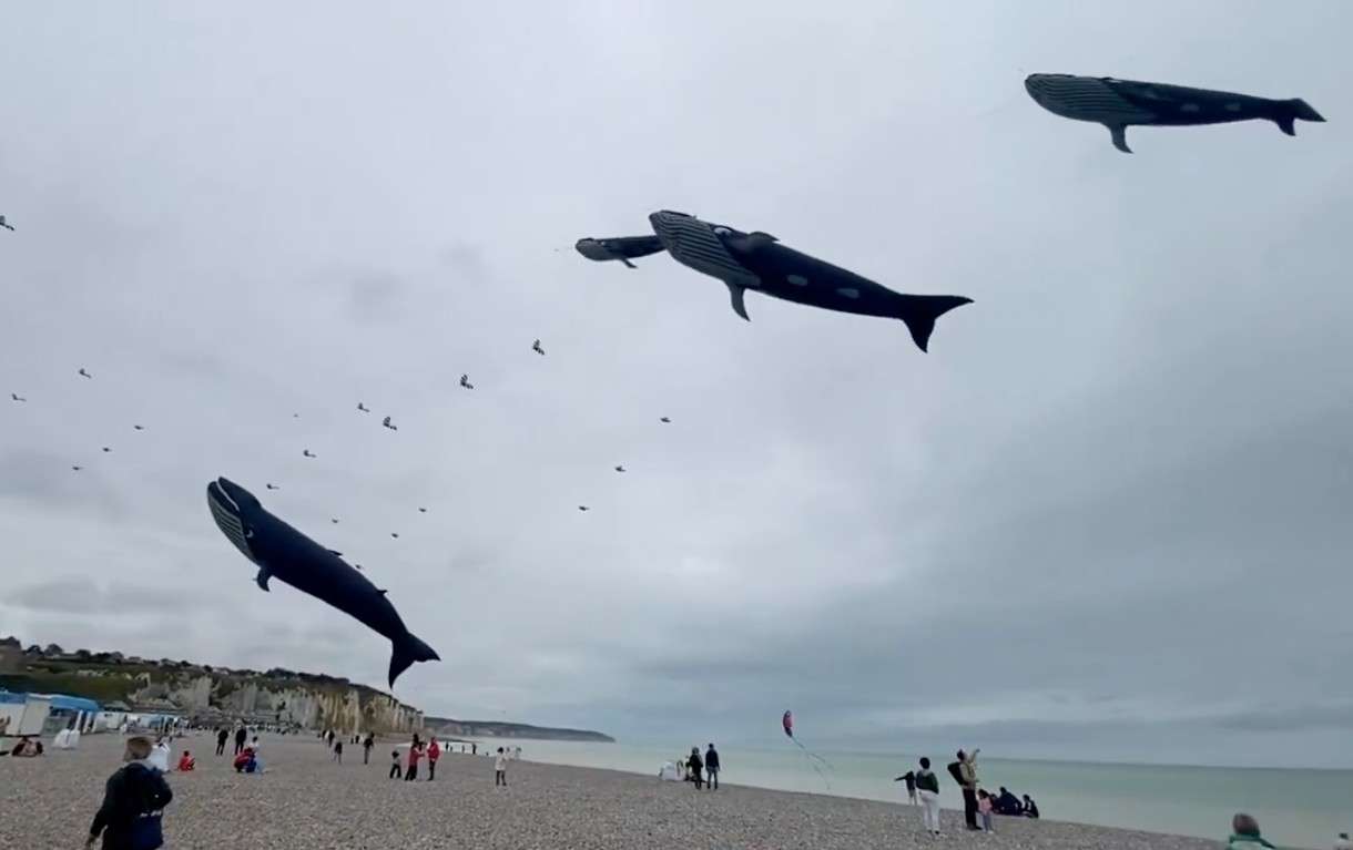 Himmel voller Poesie: Das Festival International de Cerfs-Volants in Dieppe 2025