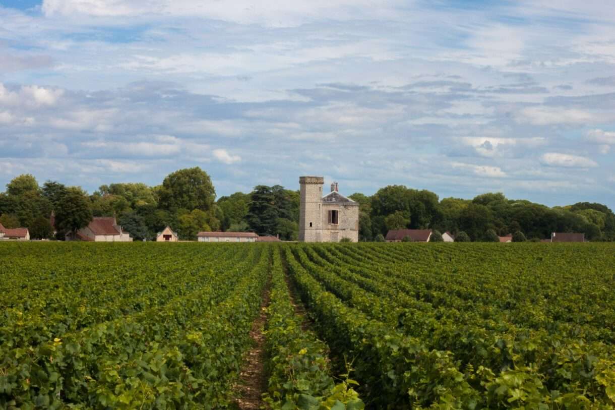 Burgund – Wo Frankreichs Seele zwischen Weinreben, Kanälen und Kathedralen flüstert