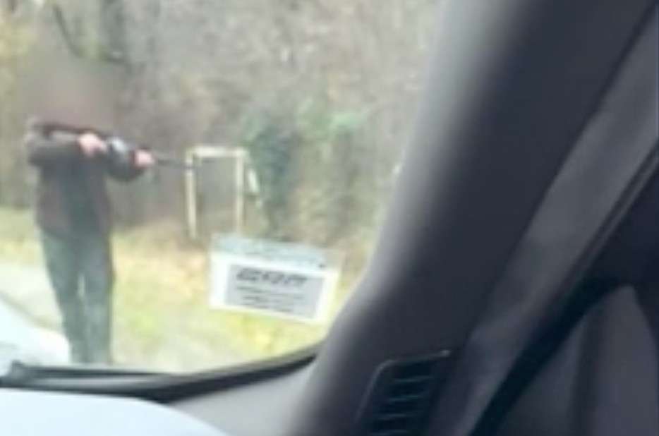 Schüsse am Straßenrand: Wie ein erschossenes Wildschwein das Département Indre erschüttert