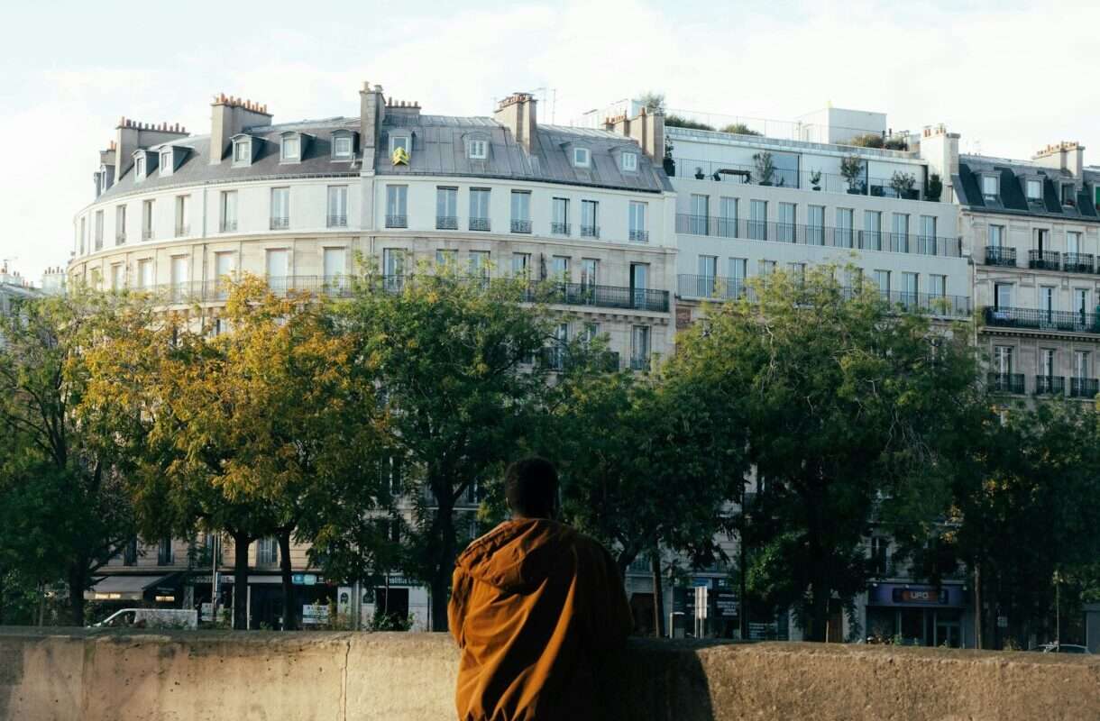 Baumfrevel im Herzen von Paris – Eine Stadt empört sich