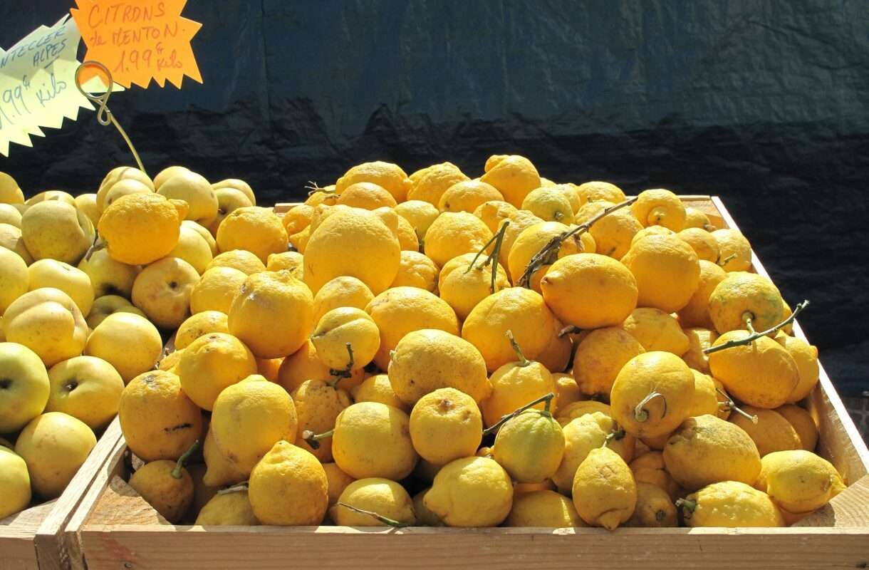 Der Zitronenduft von Menton – warum dieser gelbe Schatz mehr als nur sauer ist