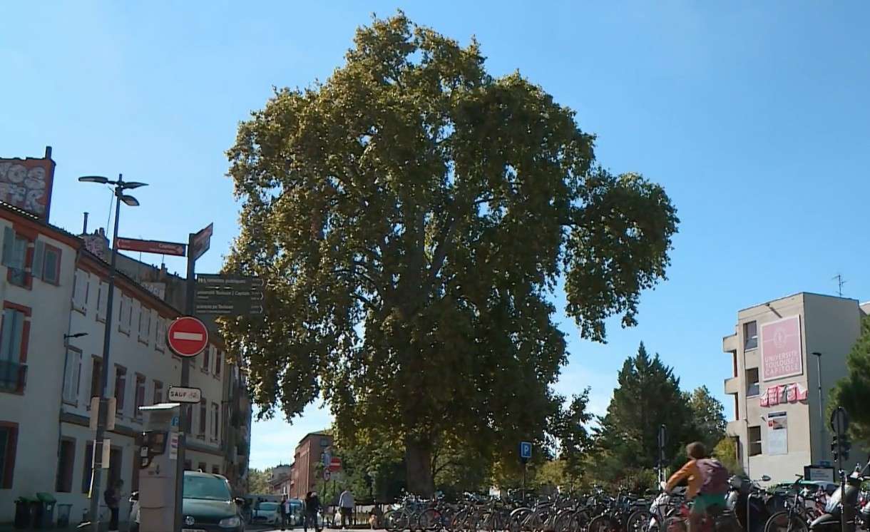 Der stille Sieger von Meung-sur-Loire