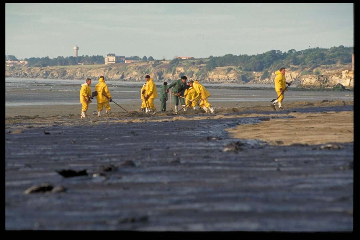 Das schwarze Gedächtnis des Meeres – warum man in der Bretagne mehr als 25 Jahre nach der „Erika“ erneut ölverschmierte Vögel findet