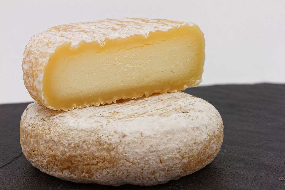 Picodon: Der kleine Käse mit großer Geschichte