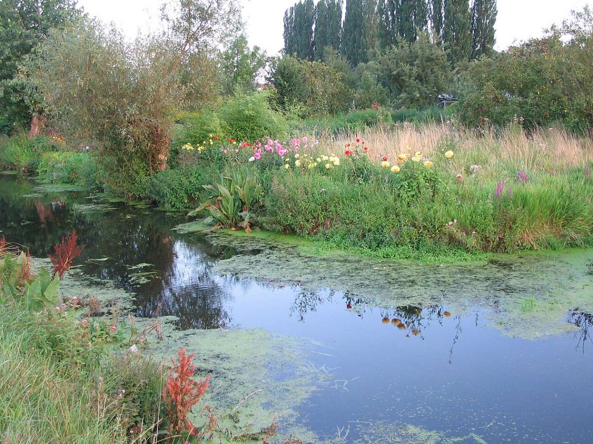 Verstecktes Paradies auf dem Wasser