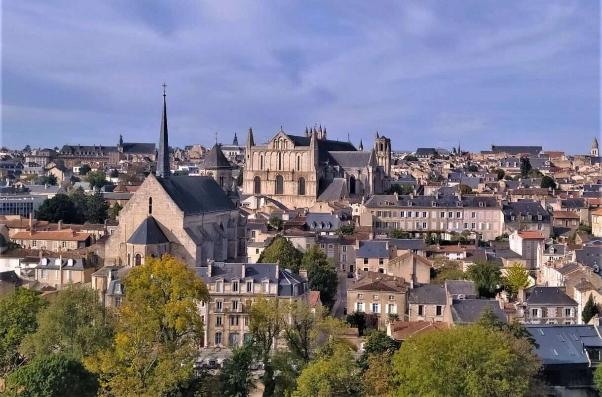 Baumvandalismus in Poitiers: Dutzende Stadtbäume mutwillig verstümmelt