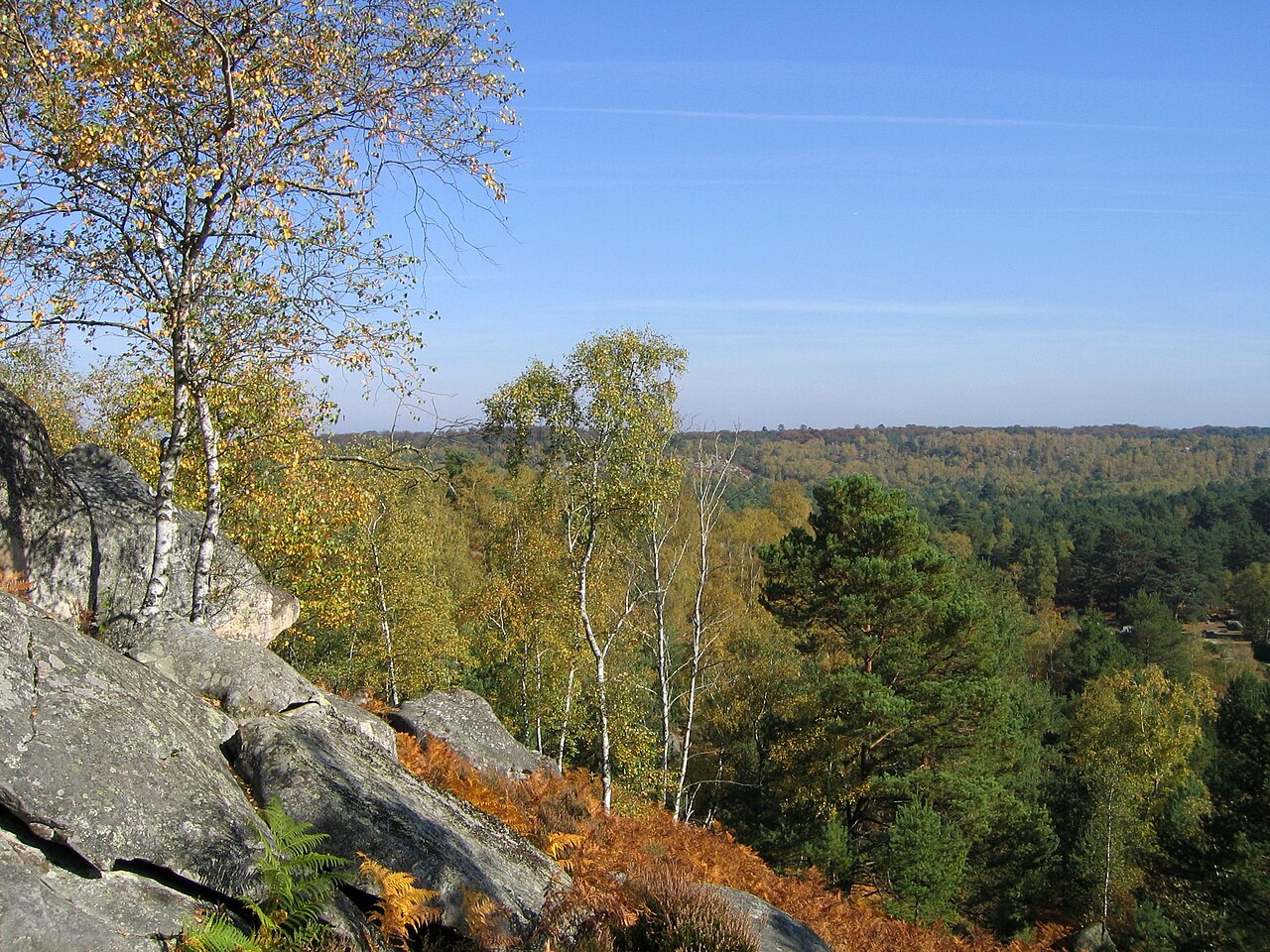 Forêt de Fontainebleau: Naturjuwel durch verheerenden Waldbrand schwer gezeichnet