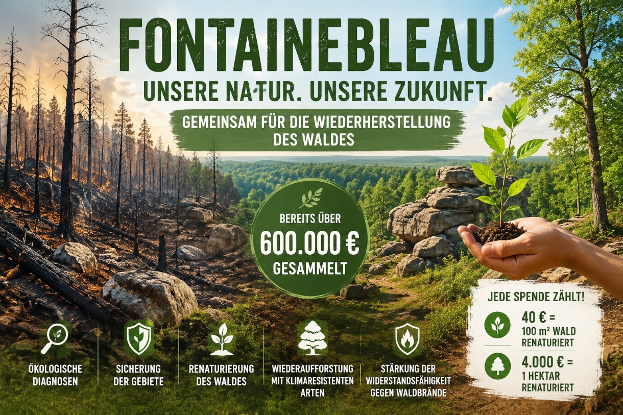 Große Solidarität für den Wald von Fontainebleau: Mehr als 600.000 Euro für die Wiederherstellung nach den Bränden